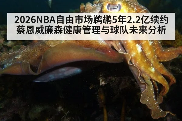 2026NBA自由市场鹈鹕5年2.2亿续约蔡恩威廉森健康管理与球队未来分析（jiuyou game）
