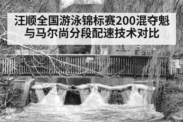 汪顺全国游泳锦标赛200混夺魁 与马尔尚分段配速技术对比 - nine game